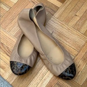 Tan and tortoise ballet flat